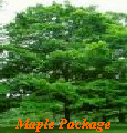 Maple Package