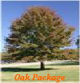 Oak Package