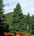 Spruce Package