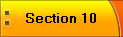 Section 10