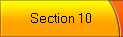 Section 10