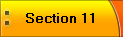 Section 11