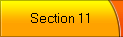 Section 11