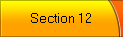 Section 12