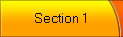 Section 1