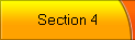 Section 4