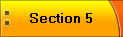 Section 5