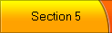 Section 5